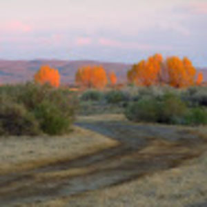 Meet your Posher, Chuck